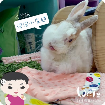 手作 - 泡泡小床毯 (沙沙響紙)4