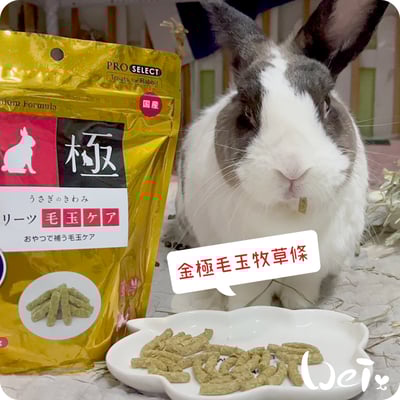 日本 HI-PET 金極毛玉牧草條 (KIWAMI極)8