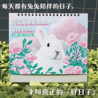 完售 日日有兔兔 X 2026 浪兔公益桌曆 (台灣流浪兔保護協會)3