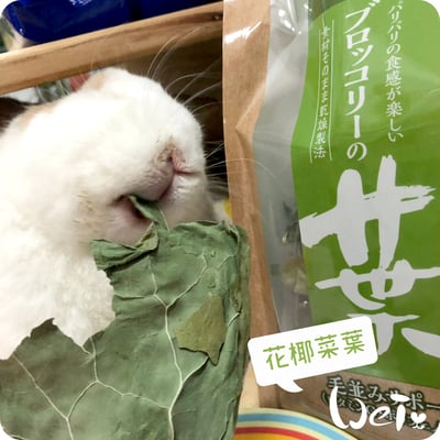 GEX健康食譜 花椰菜葉5