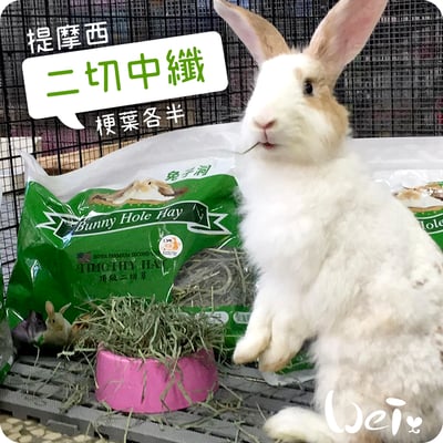 美國Rabbit Hole Hay兔子洞 二切Medium中纖提摩西6