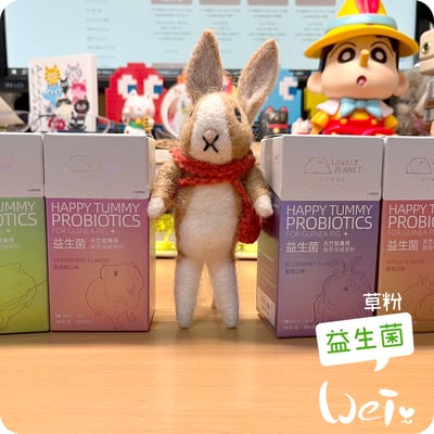 好可愛星球Lovely Planet天竺鼠益生菌 藍莓20