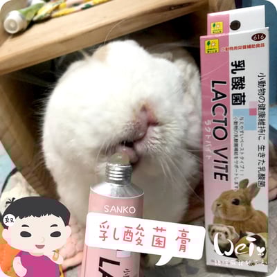 日本Sanko 小動物乳酸菌膏1