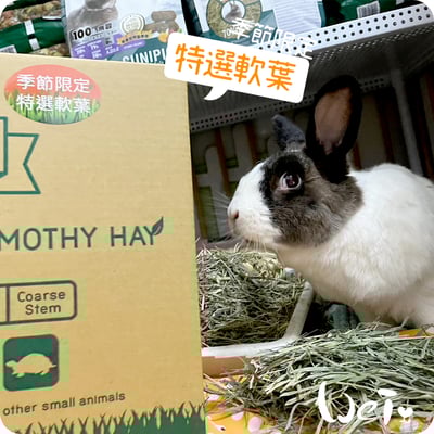 摩米MOMI 季節限定特選軟葉提摩西1