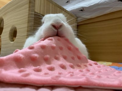 手作 - 泡泡小床毯8