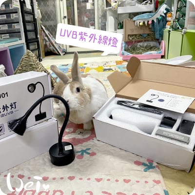 LED紫外線燈 311納米窄譜UVB燈 (陽光維生素D3好幫手)4