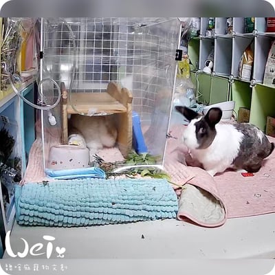 【經驗分享】醫用氧氣鋼瓶(攜帶式氧氣瓶+家用型推車氧氣鋼瓶)11