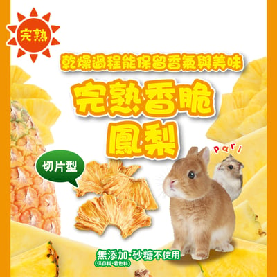 GEX 完熟香脆鳳梨凍乾2