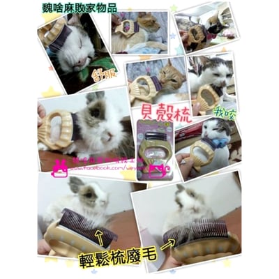 流浪兔協會用品代購 -Philocomb 寵物按摩貝殼梳 (E1)2