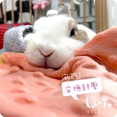 手作 - 拼圖泡泡毯5