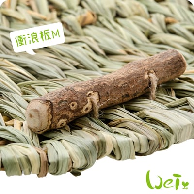 HI-PET 自然家居 衝浪板4