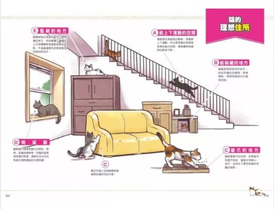 《書》獸醫來教你！貓咪的幸福生活教科書 猫と幸せに暮らすための教科書 家族が知っておきたい猫のメンタル&ヘルスケア10