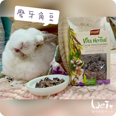 Vitapol維他寶 磨牙角豆(特價)11