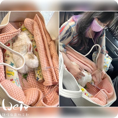 【新北板橋-租借】 寵物用 醫用氧氣鋼瓶(攜帶式氧氣瓶+家用型推車氧氣鋼瓶) 說明頁8