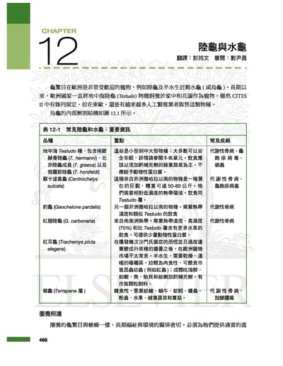 《書》特寵醫學速查手冊 第二版(現貨)18