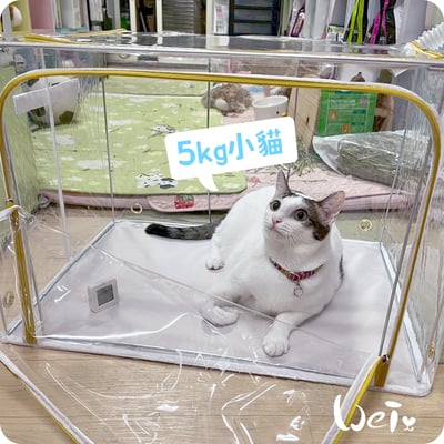 110L折疊全透明寵物氧氣箱-吸氧箱/噴霧箱/霧化箱12