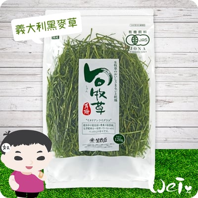 GEX旬牧草 義大利黑麥草1