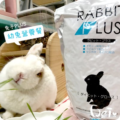 日本Sanko 幼兔PLUS營養餐飼料2