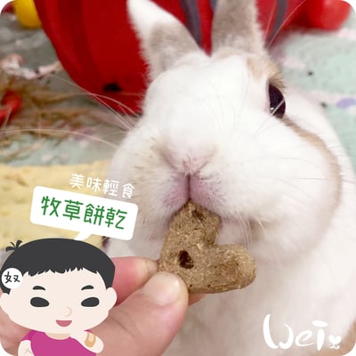 OXBOW 蔓越莓烘焙牧草餅5