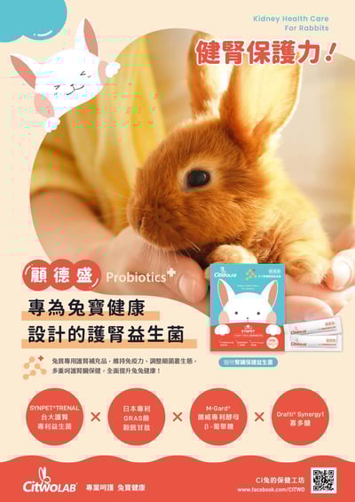 CI兔 Citwo LAB 顧德盛 腎臟保健益生菌3