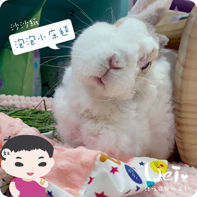 手作 - 泡泡小床毯 (沙沙響紙)5