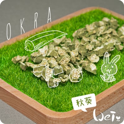 秋葵乾 (六角豆)2