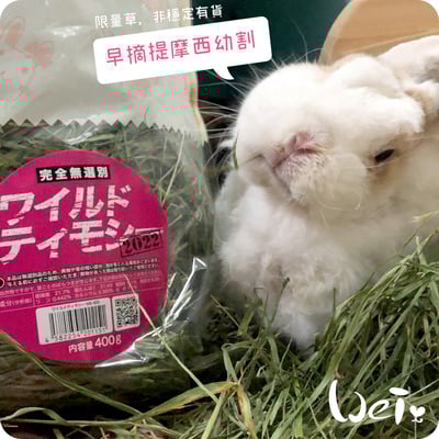 WOOLY高原的早摘提摩西幼割 (本次貨櫃未到)7