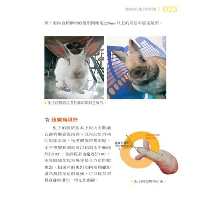 《書》愛兔飼育照護大百科 (愛兔協會出版)3