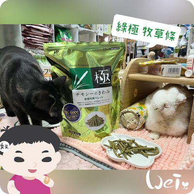 日本 HI-PET 綠極牧草條 (KIWAMI 極)7