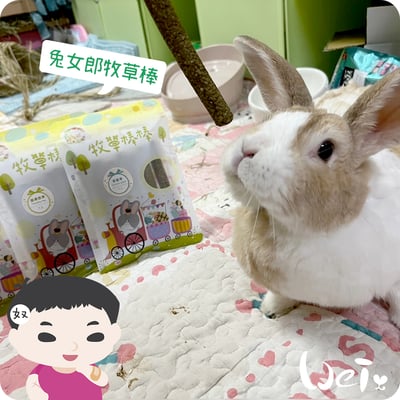 兔女郎點心吧 黑麥草牧草棒棒5