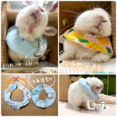 手作 - 寵物圍兜兜/紗布口水巾/軟頭套/老病照護灌食餵藥4