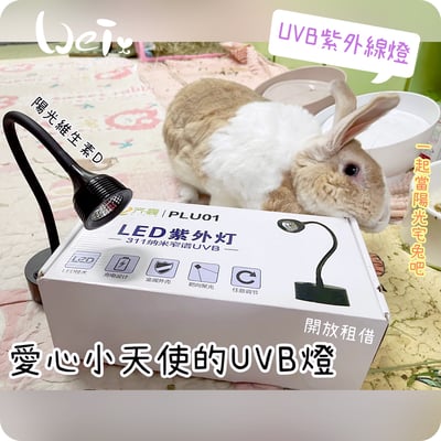 【新北板橋-租借】LED紫外線燈 311納米窄譜UVB燈 (陽光維生素D3) 老兔天竺鼠貓狗-說明1