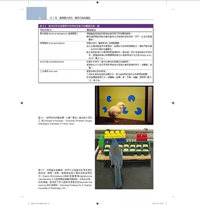 《書》禽鳥類醫學，第三版(現貨)11