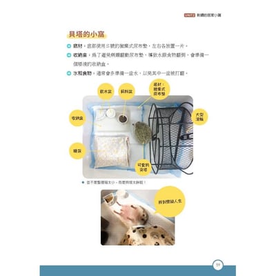 《書》刺蝟完全飼育手冊：居家照護、性格互動、醫療疾病全面掌握一本通！7