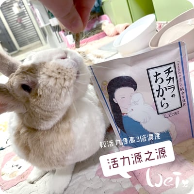 WOOLY 活力源之源5