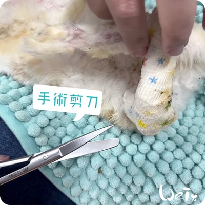 (包紮) 外科手術剪刀--直尖圓 (醫療剪刀/不銹鋼/食物料理剪刀)6