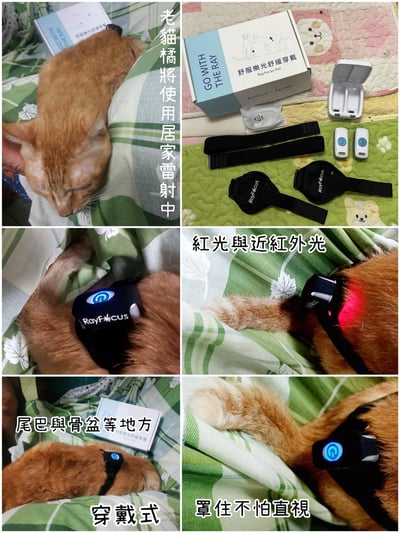 【新北板橋-租借】寵物用三級雷射儀  (舒服樂光舒緩穿戴 / iVETRAY mini三級雷射居家照護儀)   (老年毛孩)3