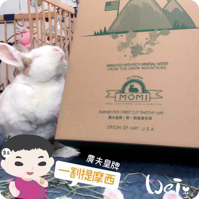 摩米MOMI 農夫皇牌 T1 一割提摩西3