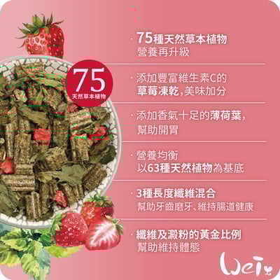 Bunny德國邦尼 夢想成兔無糖草莓＋薄荷配方(小顆三柱顆粒)5