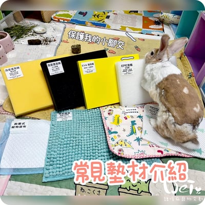 衛教區～常見的墊材介紹1