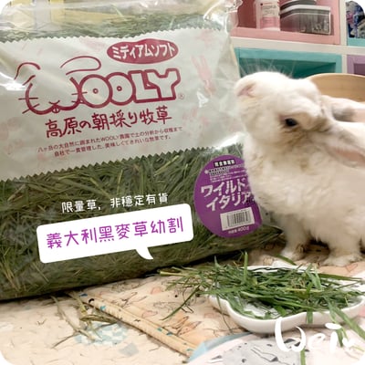 WOOLY高原的義大利黑麥草幼割7