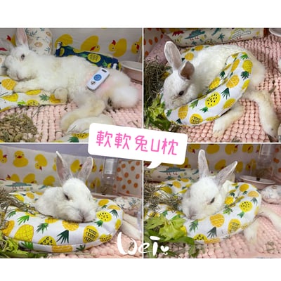 老病癱瘓兔專用靠枕 - 拐杖躺、兔U枕  (手作特製斜躺感月亮枕)6