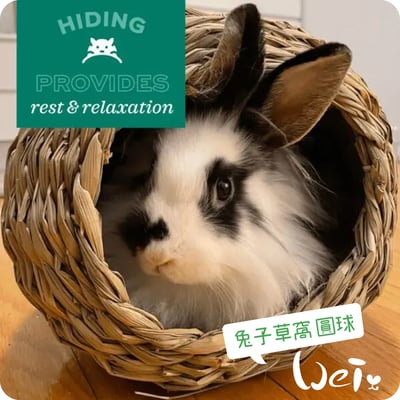 OXBOW 兔子草窩 圓球2