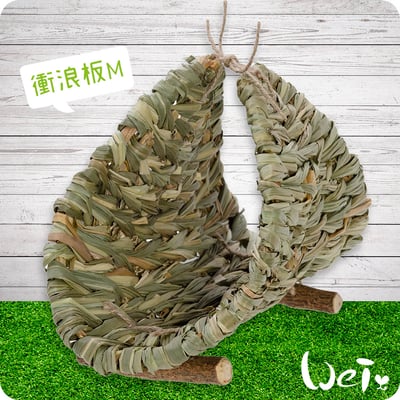 HI-PET 自然家居 衝浪板2