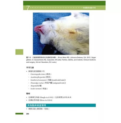 《書》特寵醫學速查手冊 第二版(現貨)17