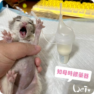 知母時餵藥器(擠壓式) /奶貓 / 兔子天竺鼠等寵物灌食泥狀食物(台灣製)9