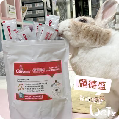 CI兔 Citwo LAB 顧德盛 腎臟保健益生菌 (試吃包/體驗組索取)7