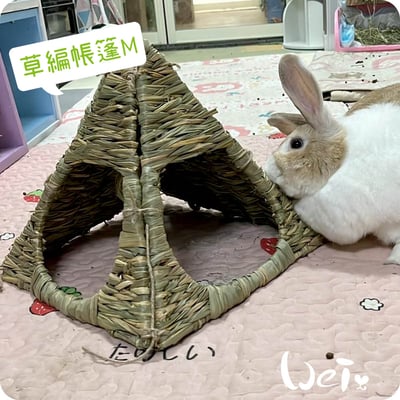 HI-PET 自然家居 草編帳篷1
