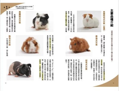 《書》第一次養天竺鼠就上手  モルモット 飼育バイブル 長く元気に暮らす50のポイント4