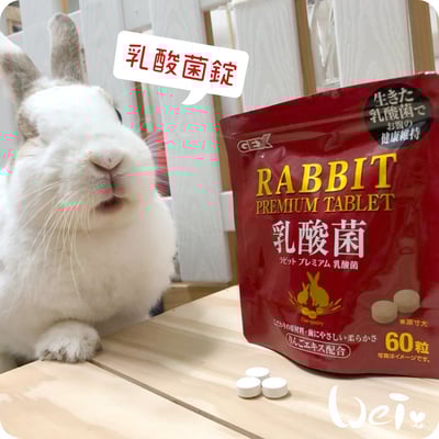 GEX金牌乳酸菌錠1